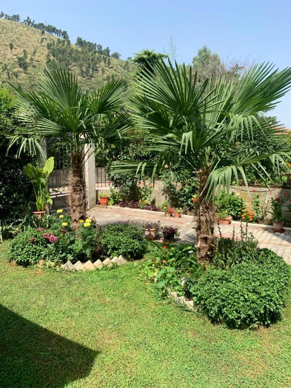 Villa With Garden And Veranda Berat Luaran gambar